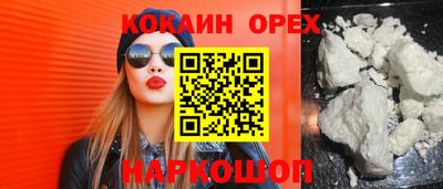 крисы Кунгур