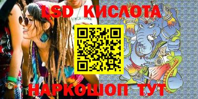 крисы Кунгур