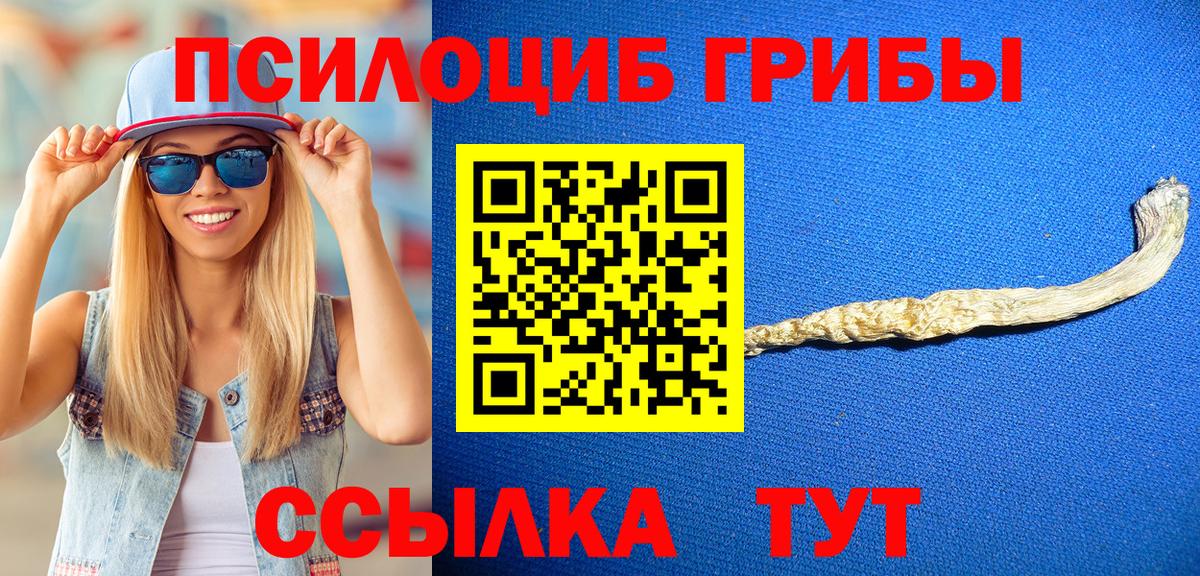 Галлюциногенные грибы мухоморы Егорьевск