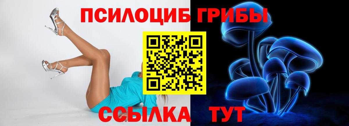 Егорьевск  Галлюциногенные грибы мухоморы  закладка  Вход с VPN 